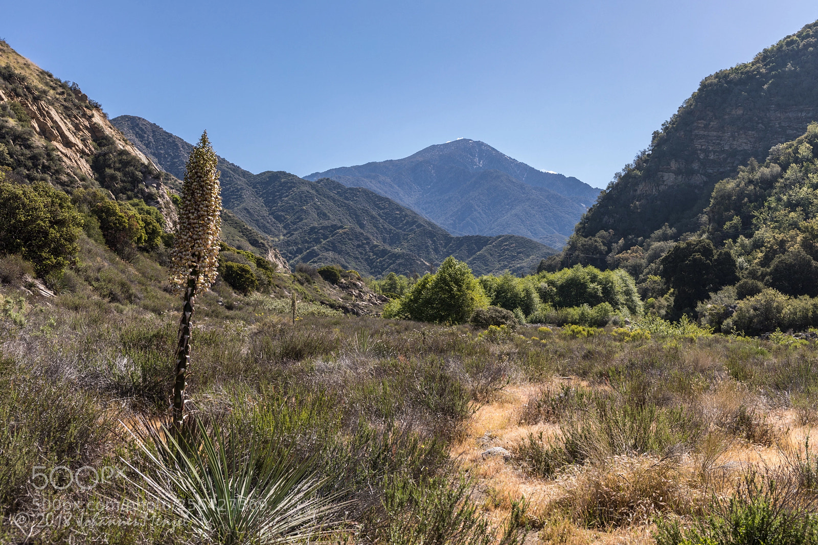 Canon EOS 5D Mark IV sample photo. Into the mountains photography