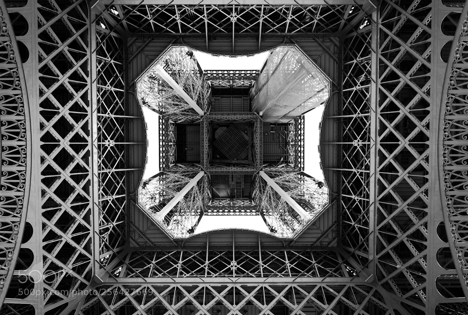 Nikon D90 sample photo. From the bottom to photography