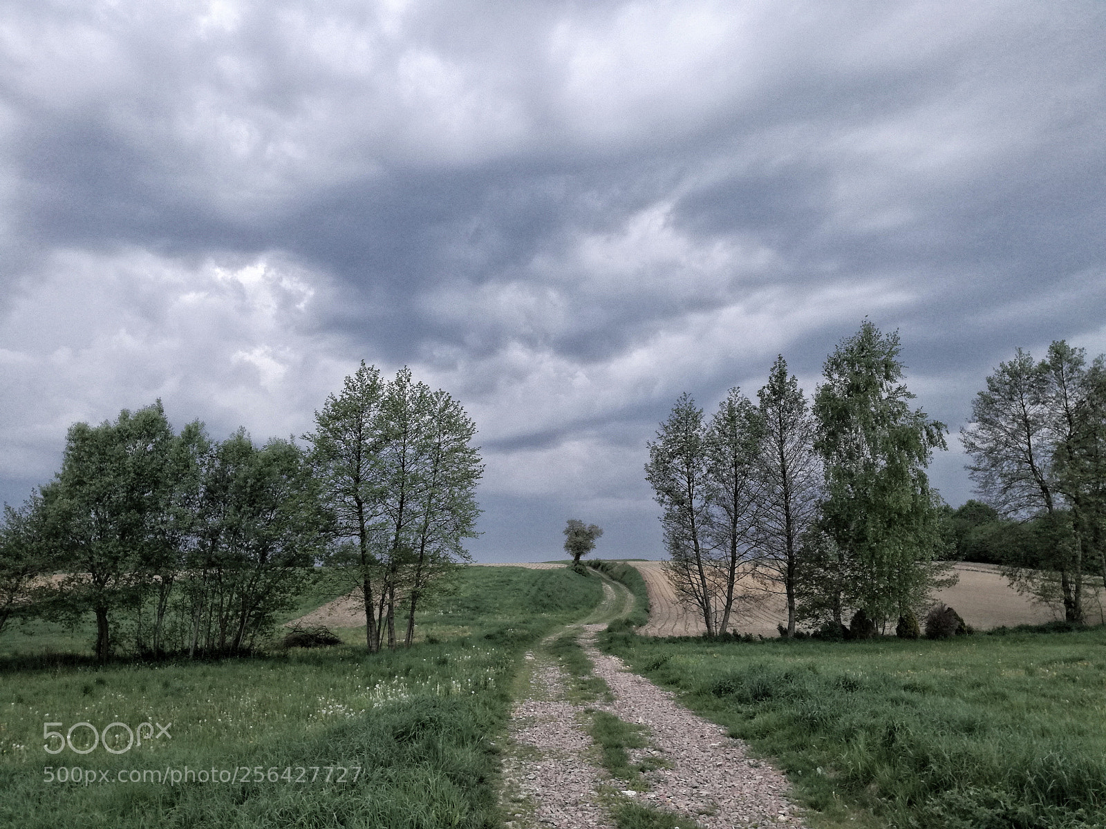 HUAWEI P9 LITE sample photo. Stormy sky over rybna photography