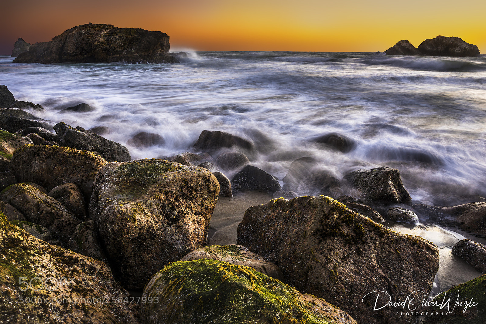 Nikon D810 sample photo. Lands end southern view photography