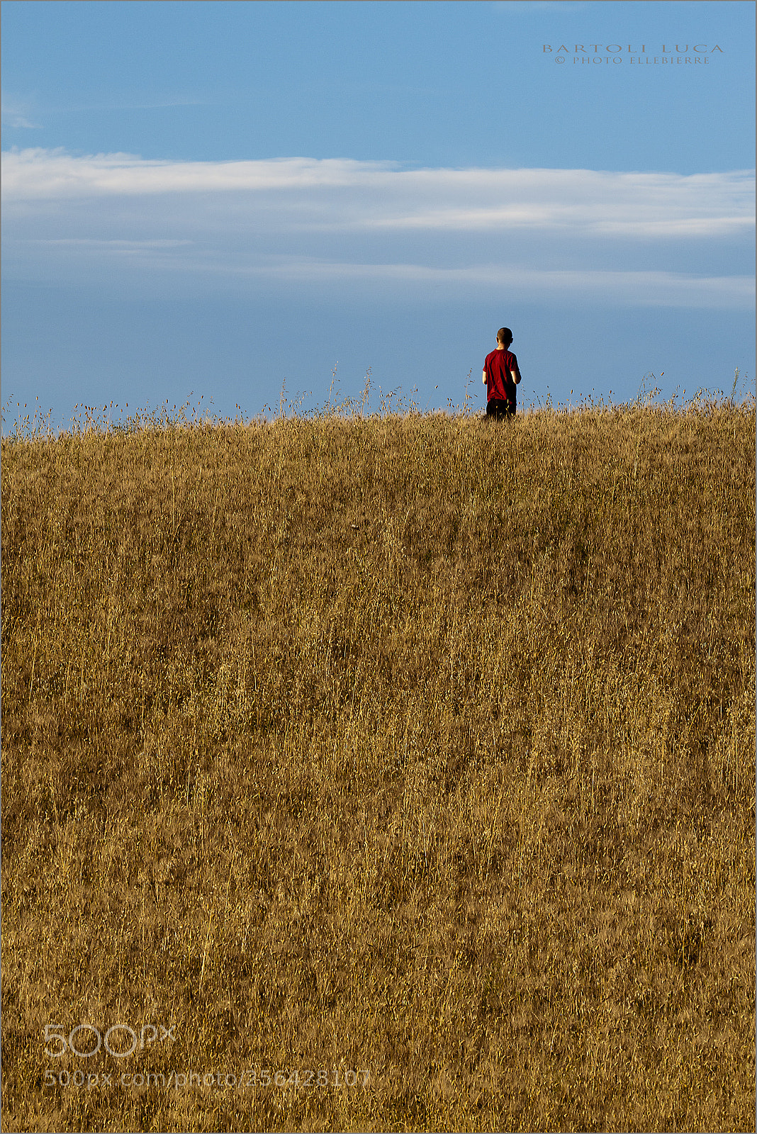 Canon EOS 500D (EOS Rebel T1i / EOS Kiss X3) sample photo. Umbria - red alone photography