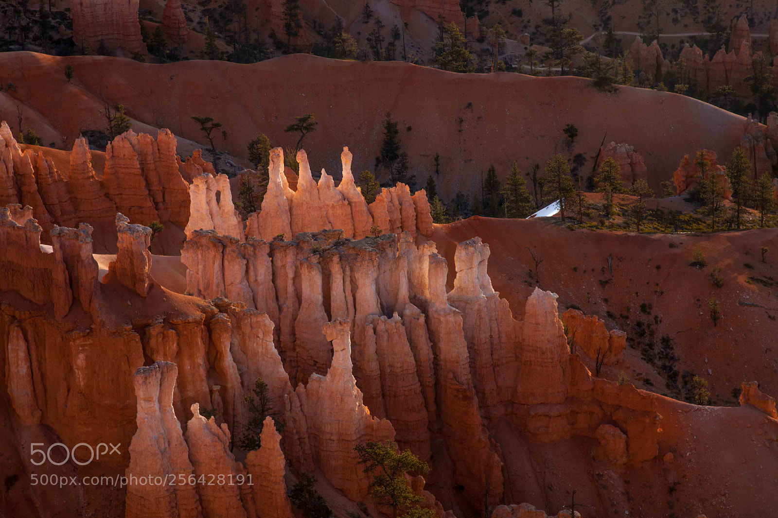 Canon EOS 5D Mark II sample photo. Hoodoo light photography