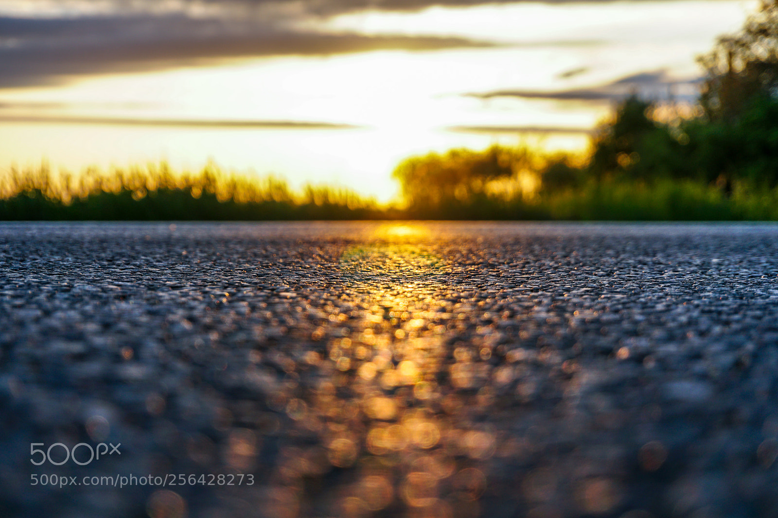 Sony a6300 sample photo. Asphalt sunset photography