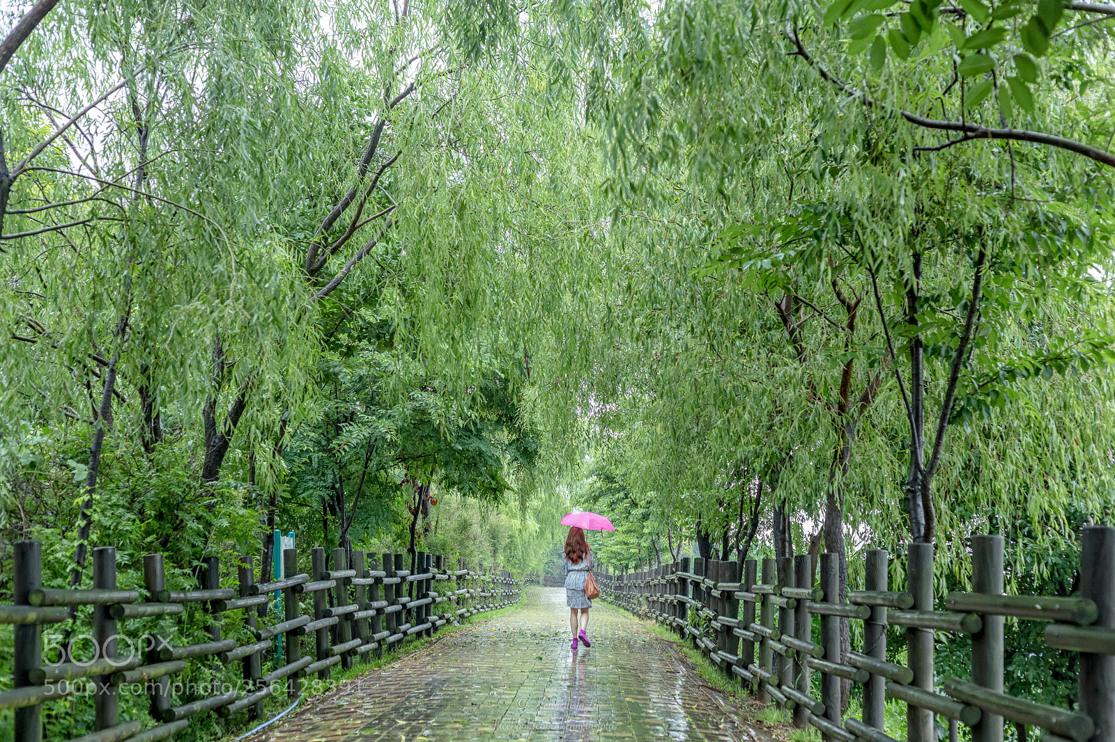 Canon EOS 6D sample photo. Walking in the rain photography