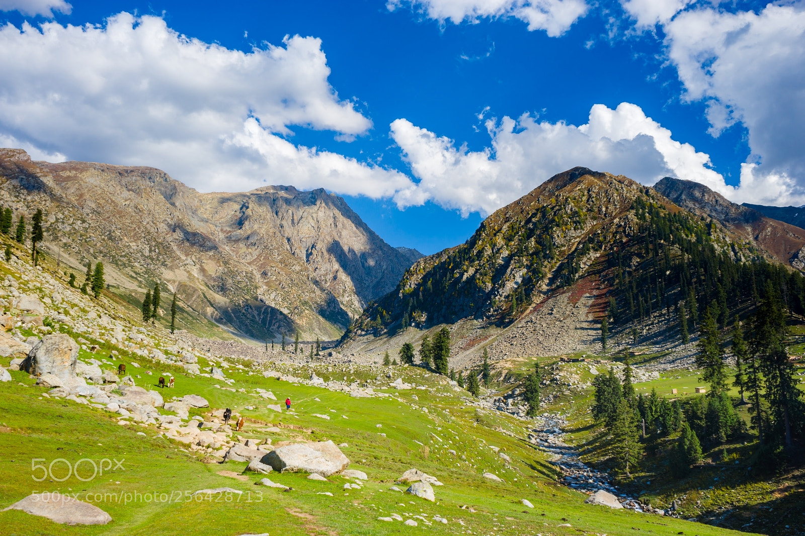 Sony a7 sample photo. Jahaz banda meadows photography
