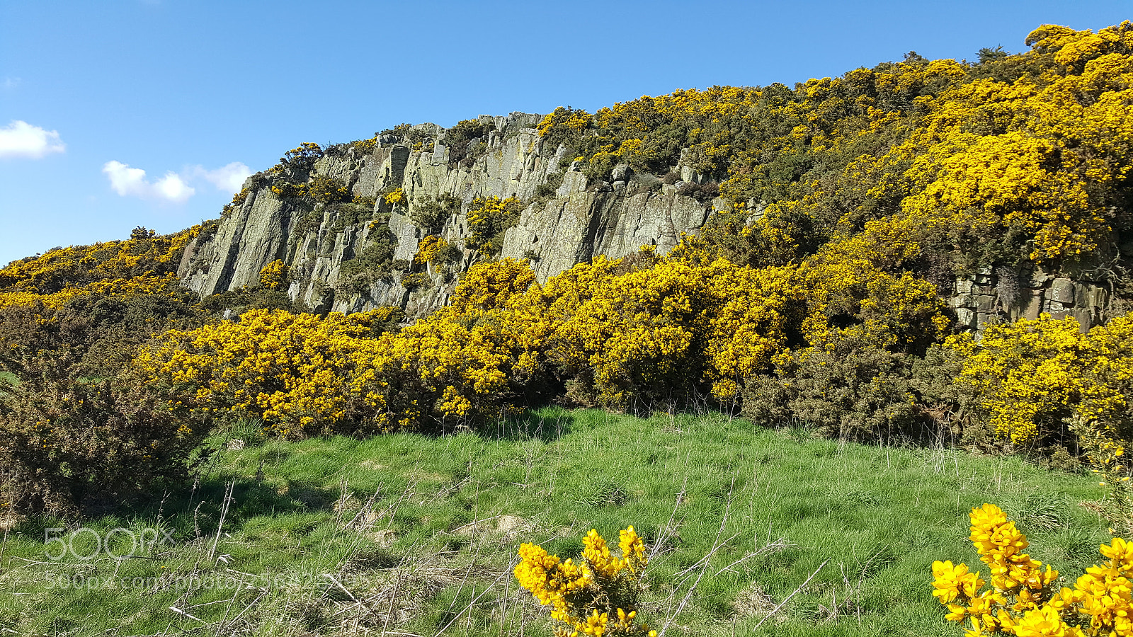Samsung Galaxy S6 sample photo. Gorse, cliff and sky photography