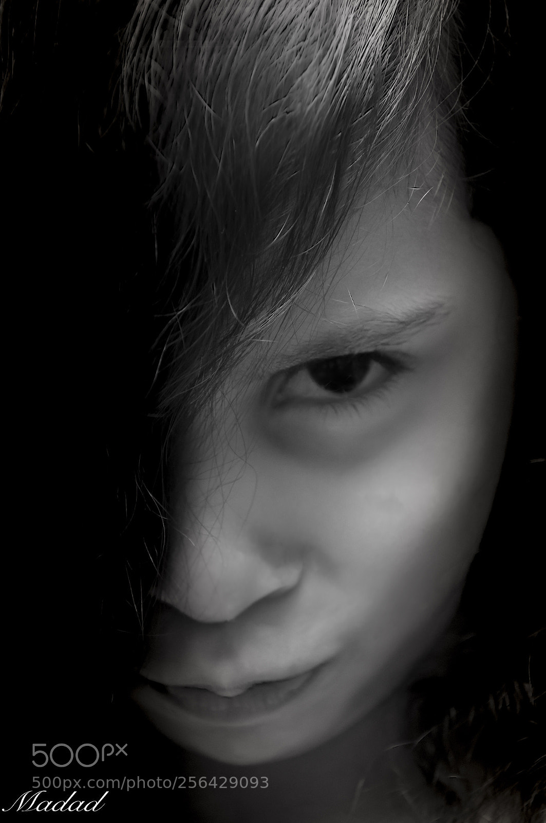 Nikon D90 sample photo. Untitled photography