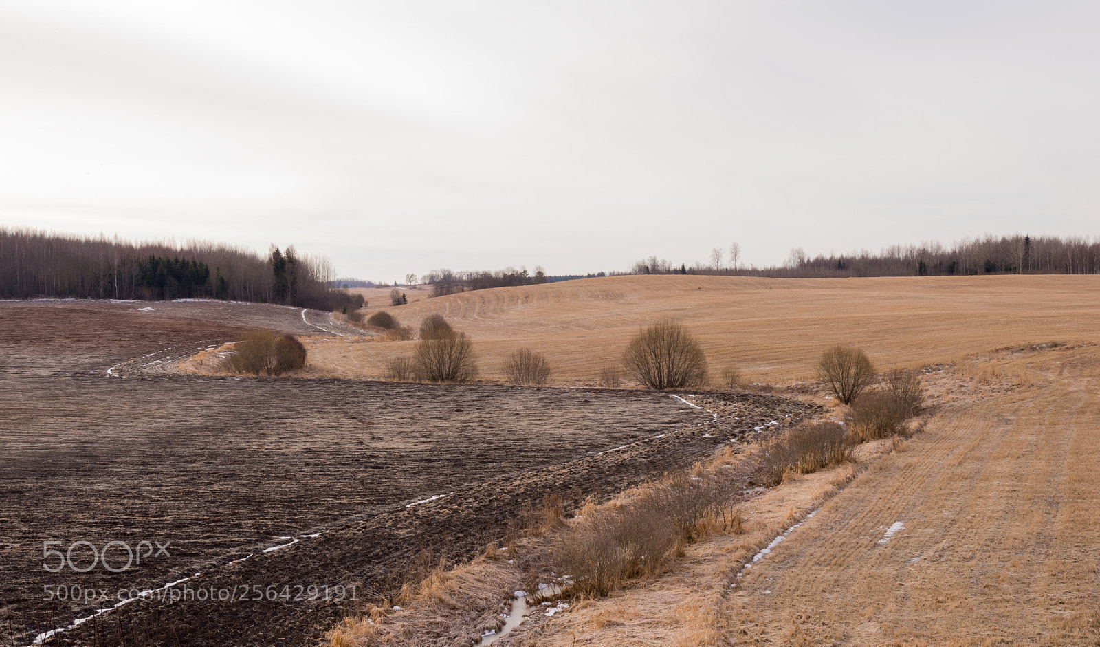 Nikon D610 sample photo. Spring landscape photography