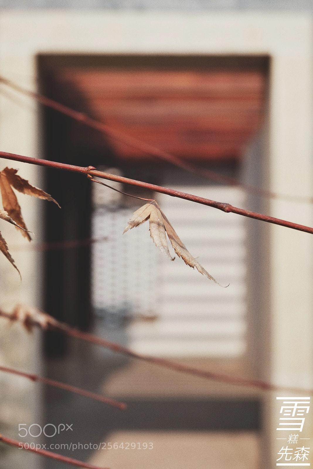 Fujifilm X-T20 sample photo. Untitled photography