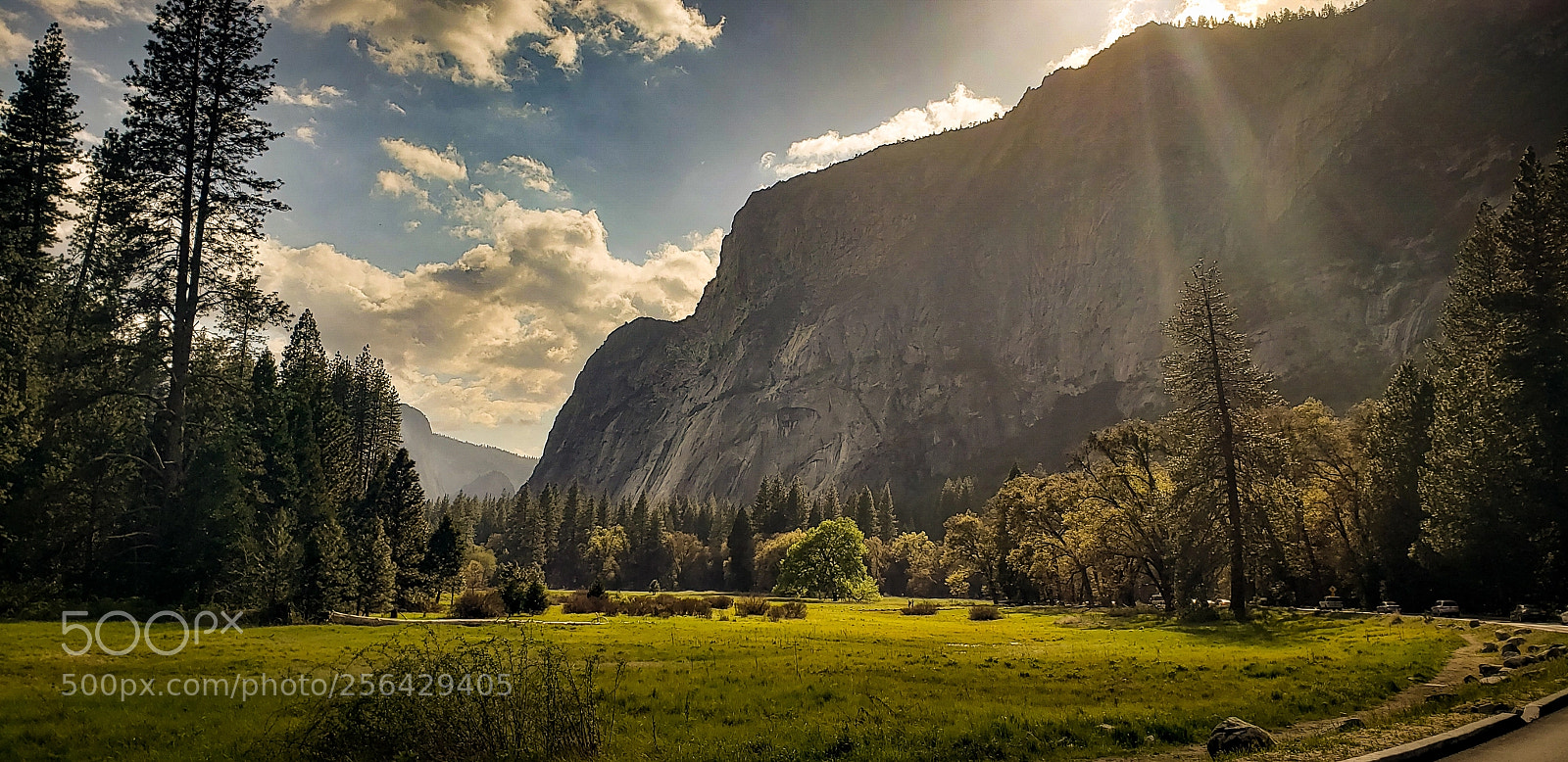 Samsung Galaxy S9+ sample photo. Yosemite valley - golden photography