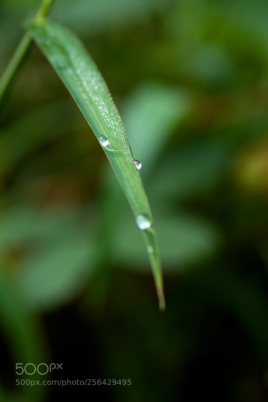 Nikon D7100 sample photo. Untitled photography