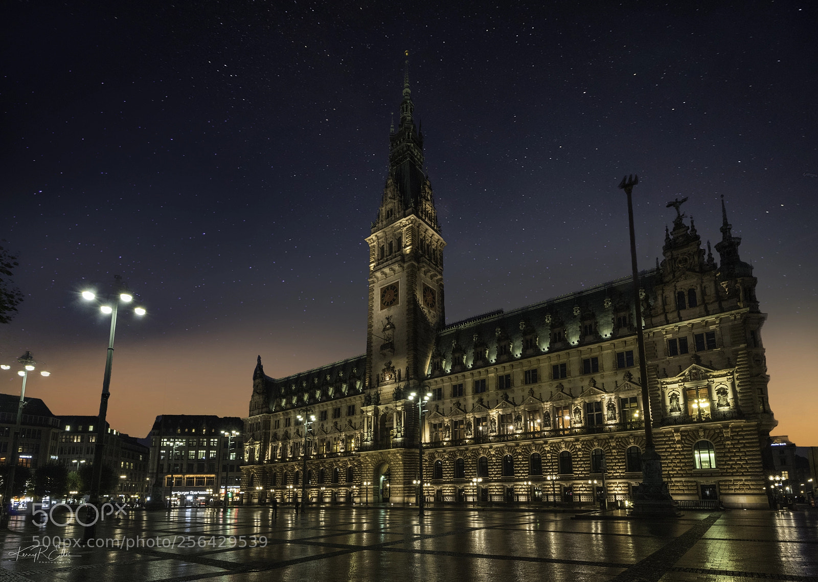 Nikon D810 sample photo. Hamburg rathaus photography