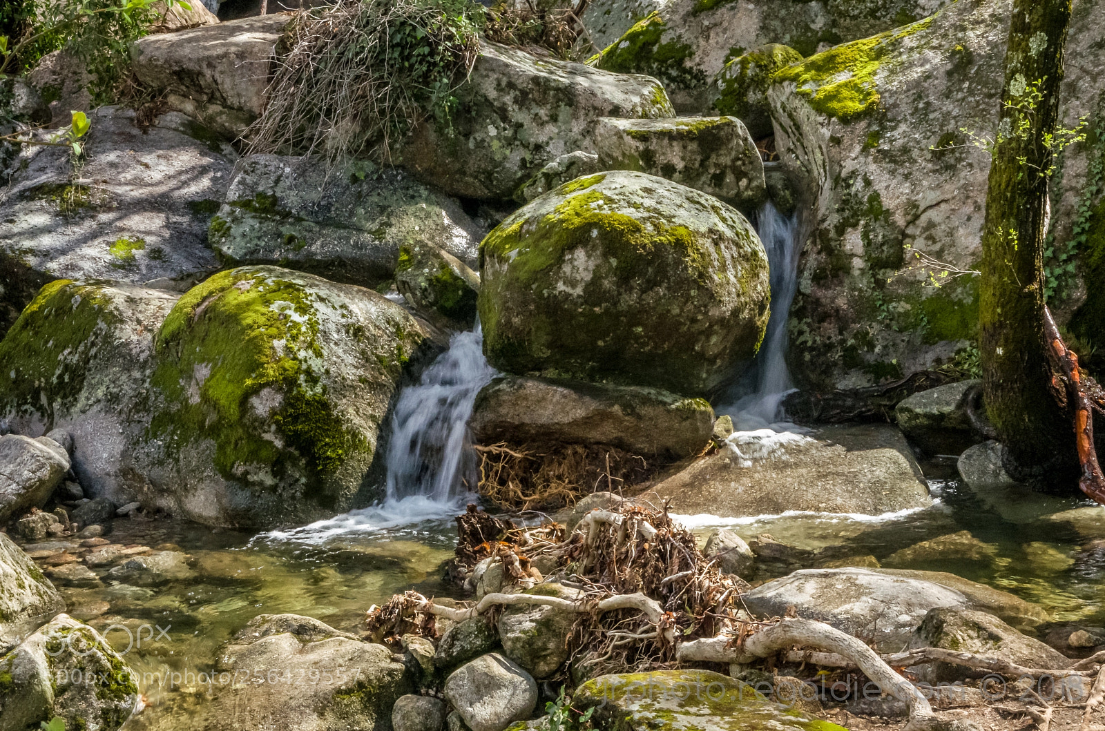 Pentax K-5 sample photo. Mossy river photography