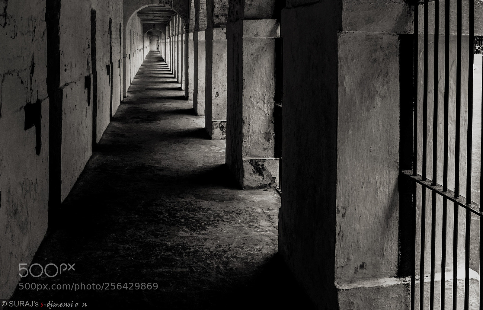 Nikon D3300 sample photo. Bloody passage photography