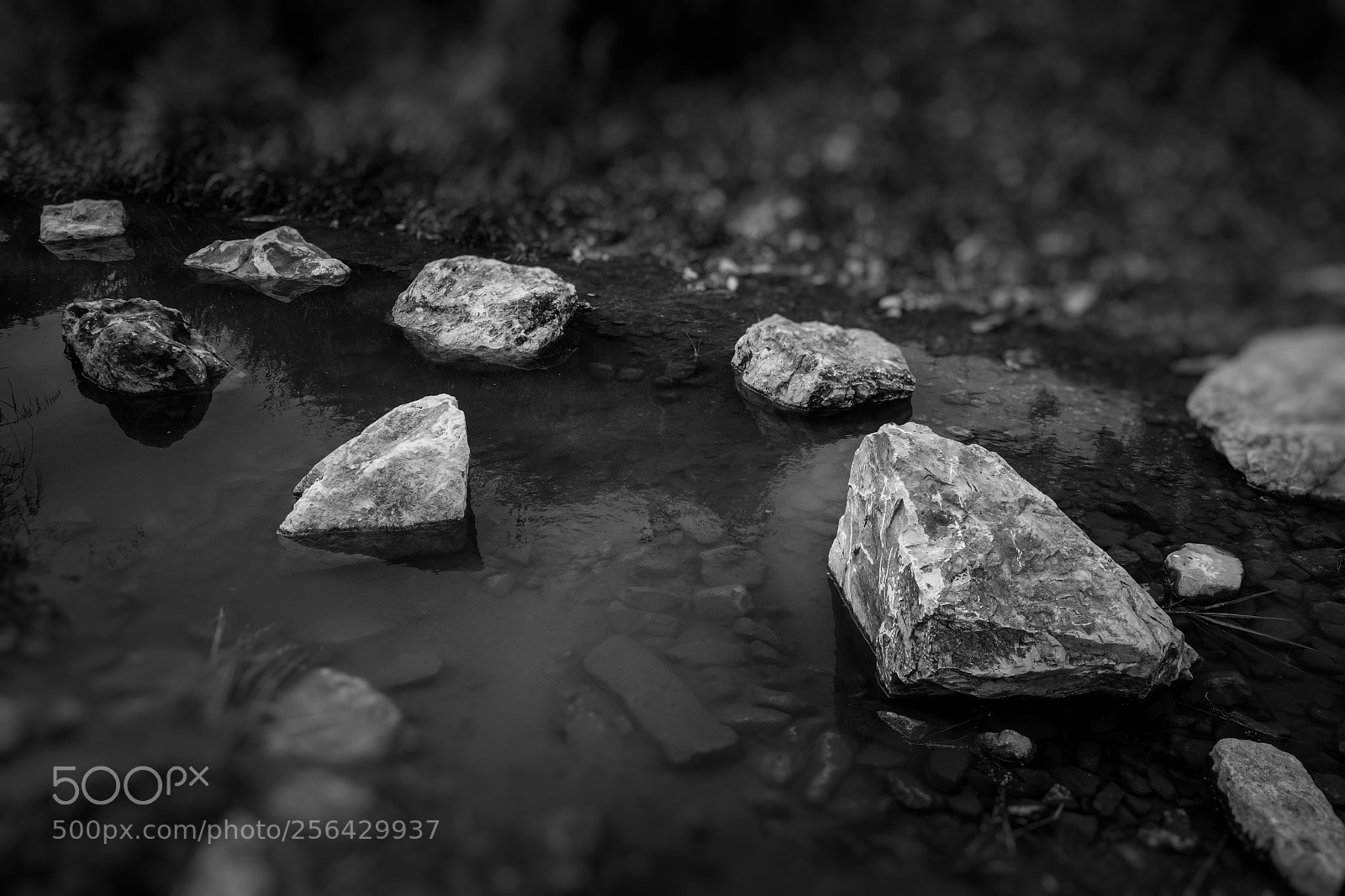 Fujifilm X-T2 sample photo. Fluid photography