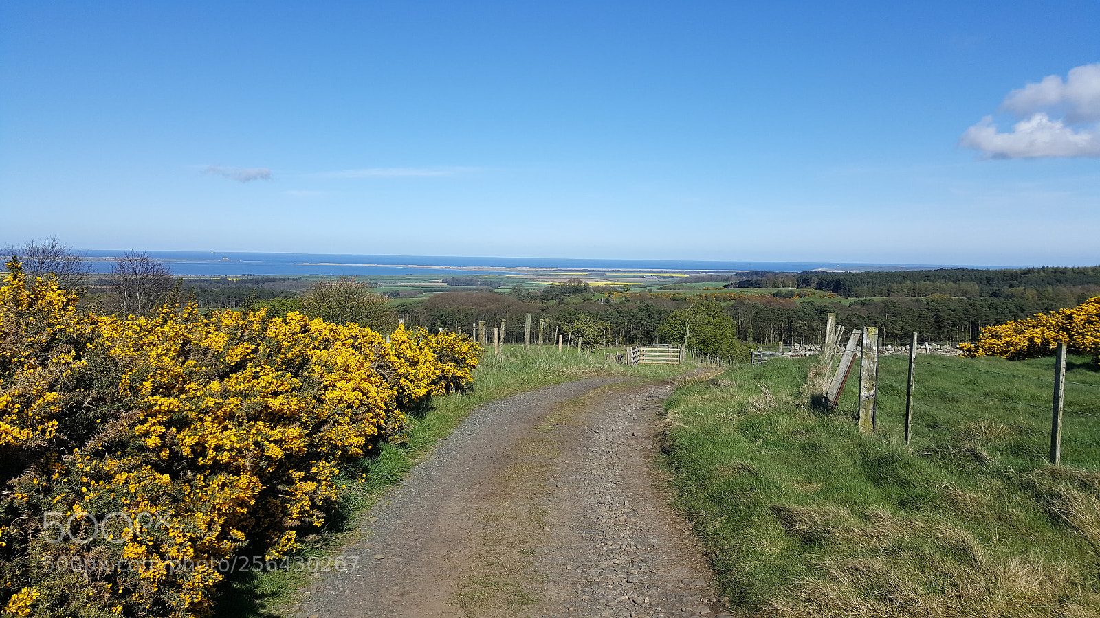 Samsung Galaxy S6 sample photo. Views to lindisfarne photography