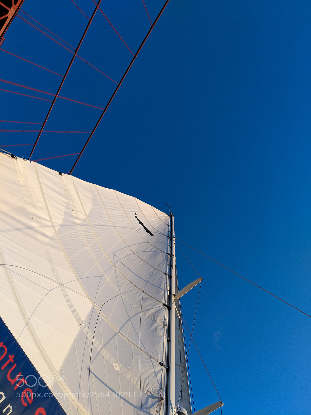 Google Pixel 2 XL sample photo. Sailing under the golden photography