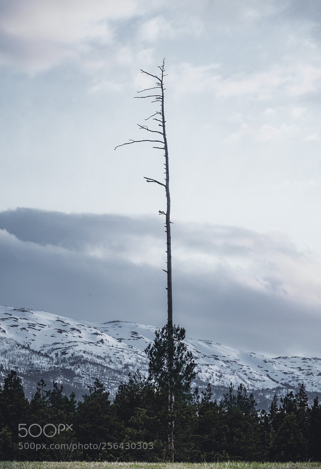 Sony a7R III sample photo. 6-07113.jpg photography