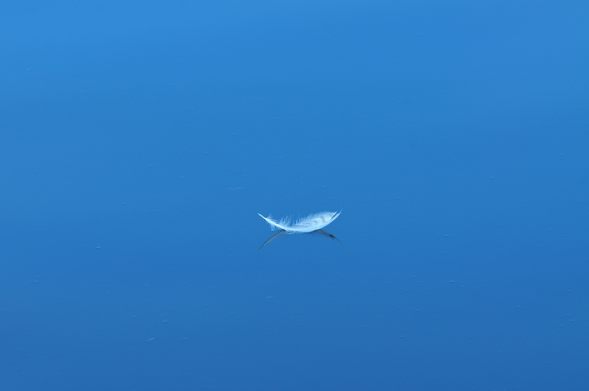 Nikon D300S sample photo. Mystical boat photography
