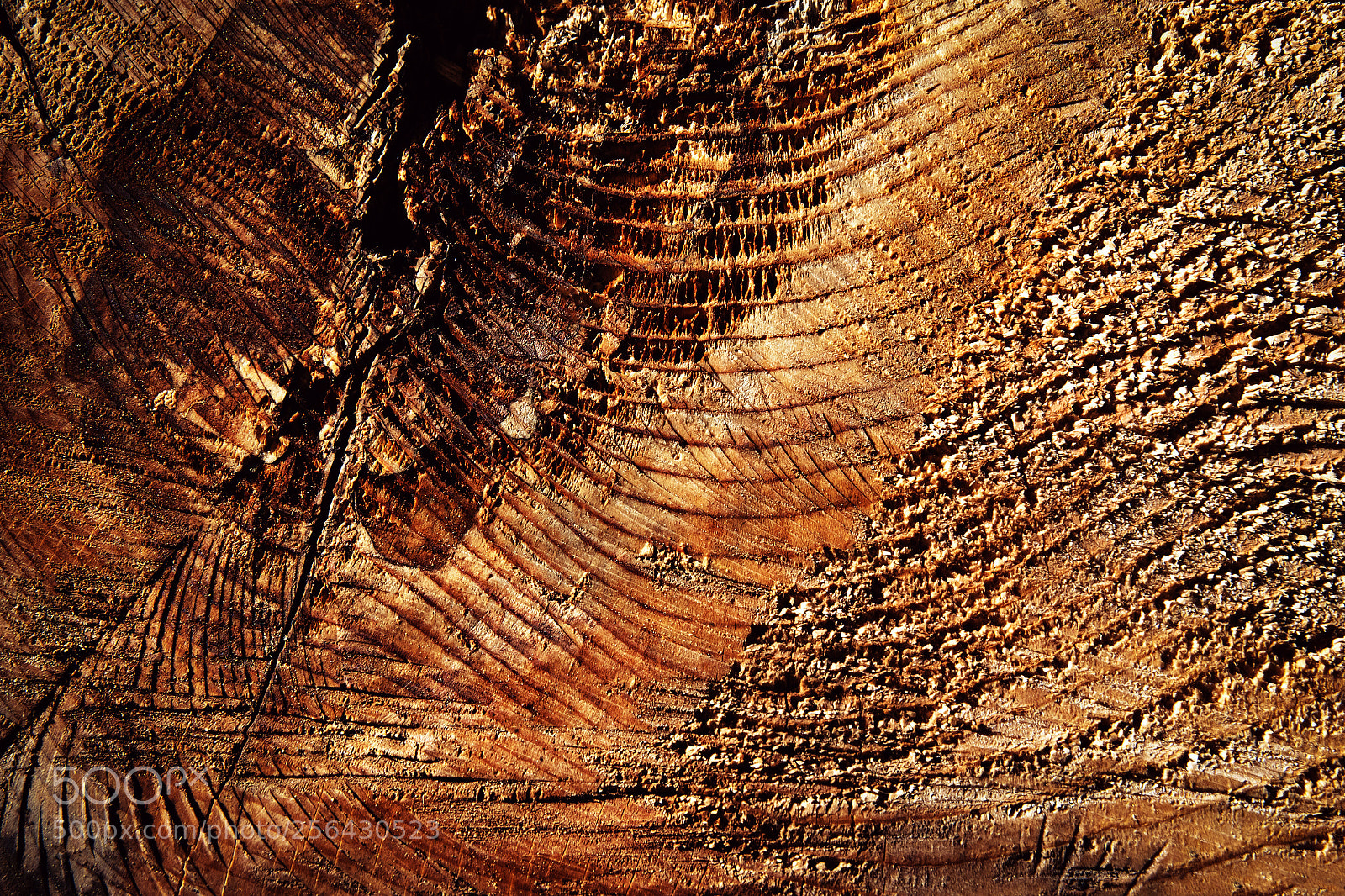 Nikon D5500 sample photo. Abstract detail on old photography