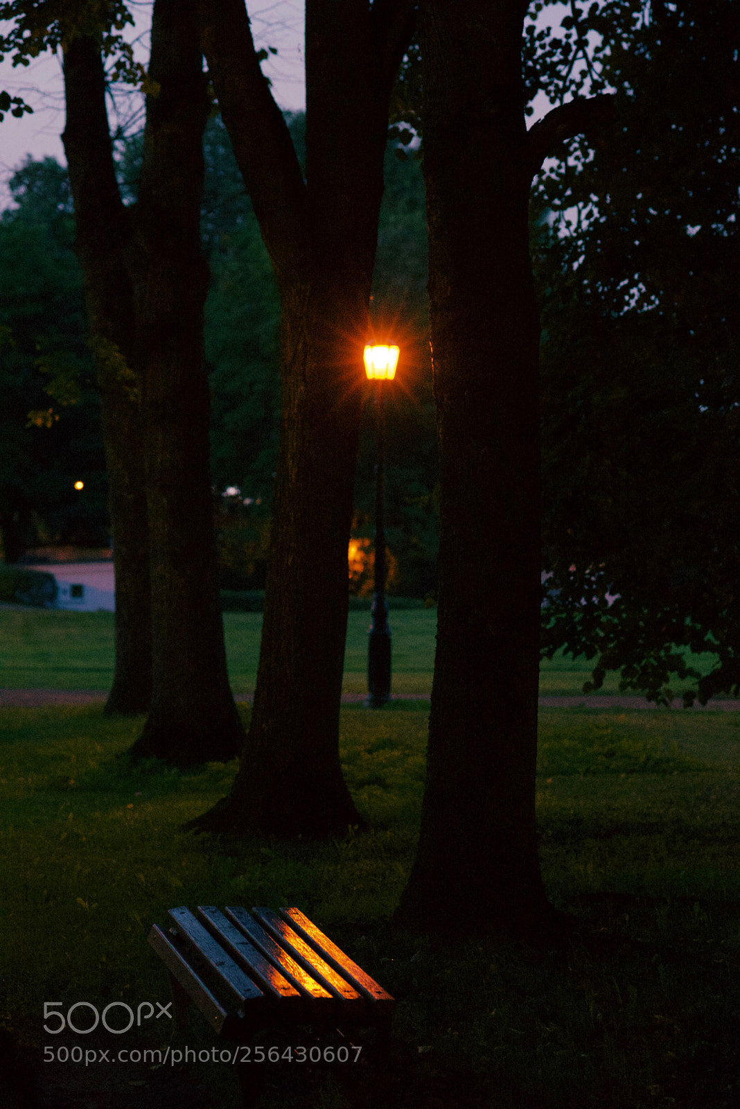 Nikon D810 sample photo. Quiet evening photography