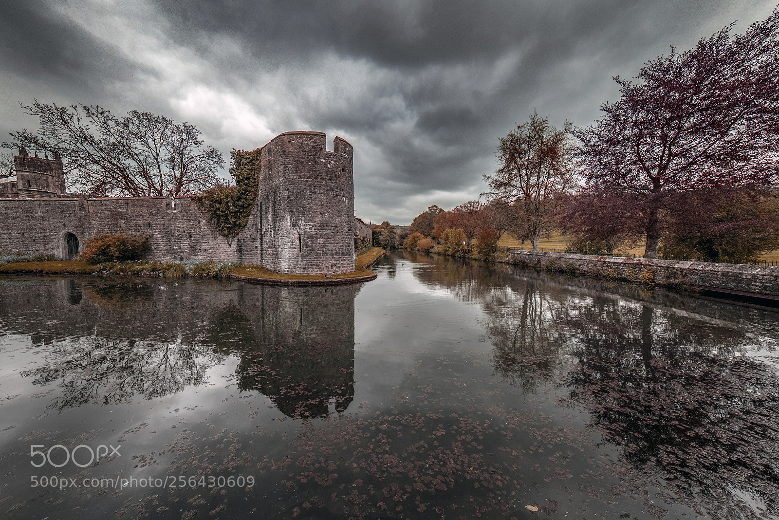 Nikon D610 sample photo. The bishop's palace wells photography