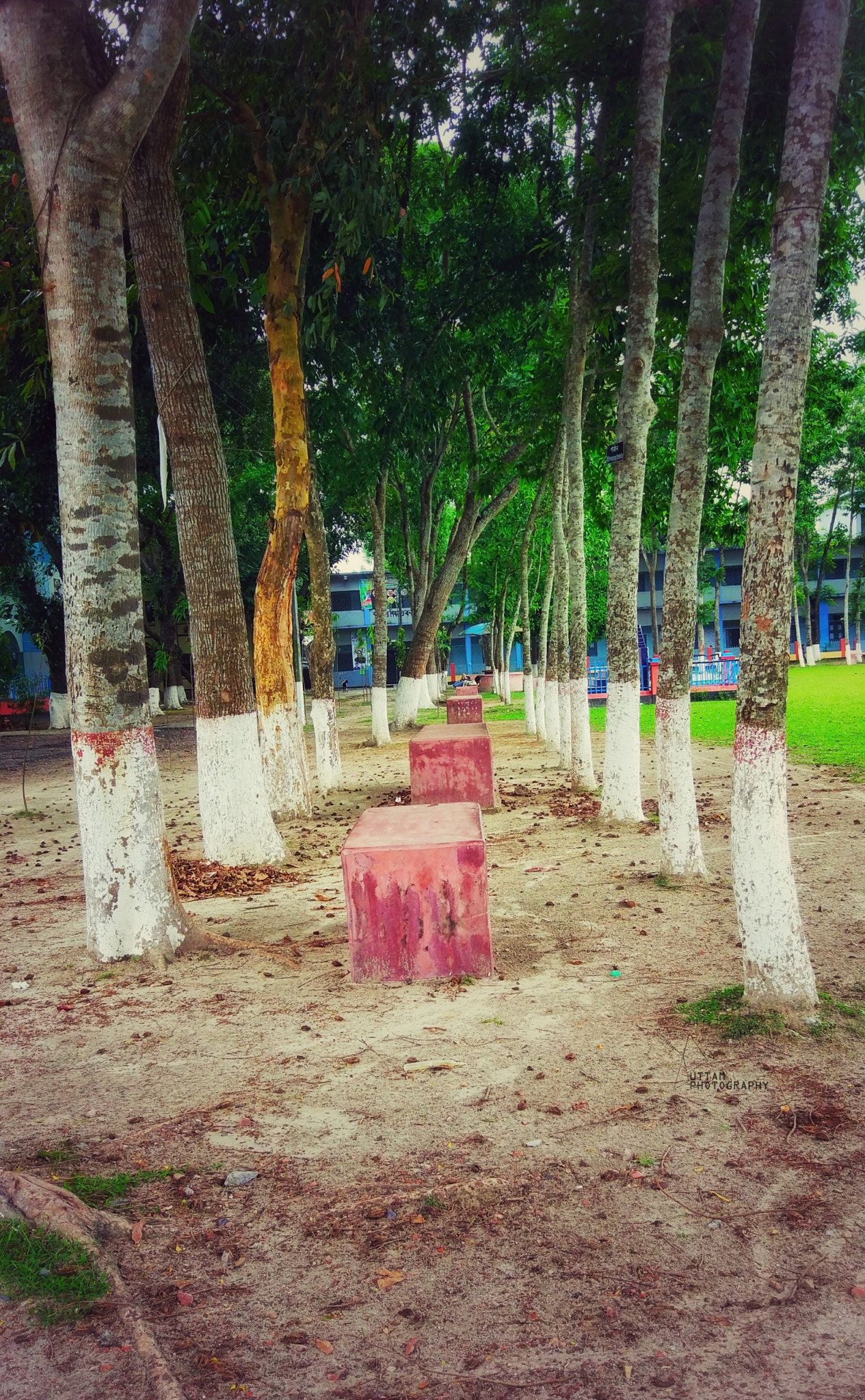 Xiaomi MI 5 sample photo
