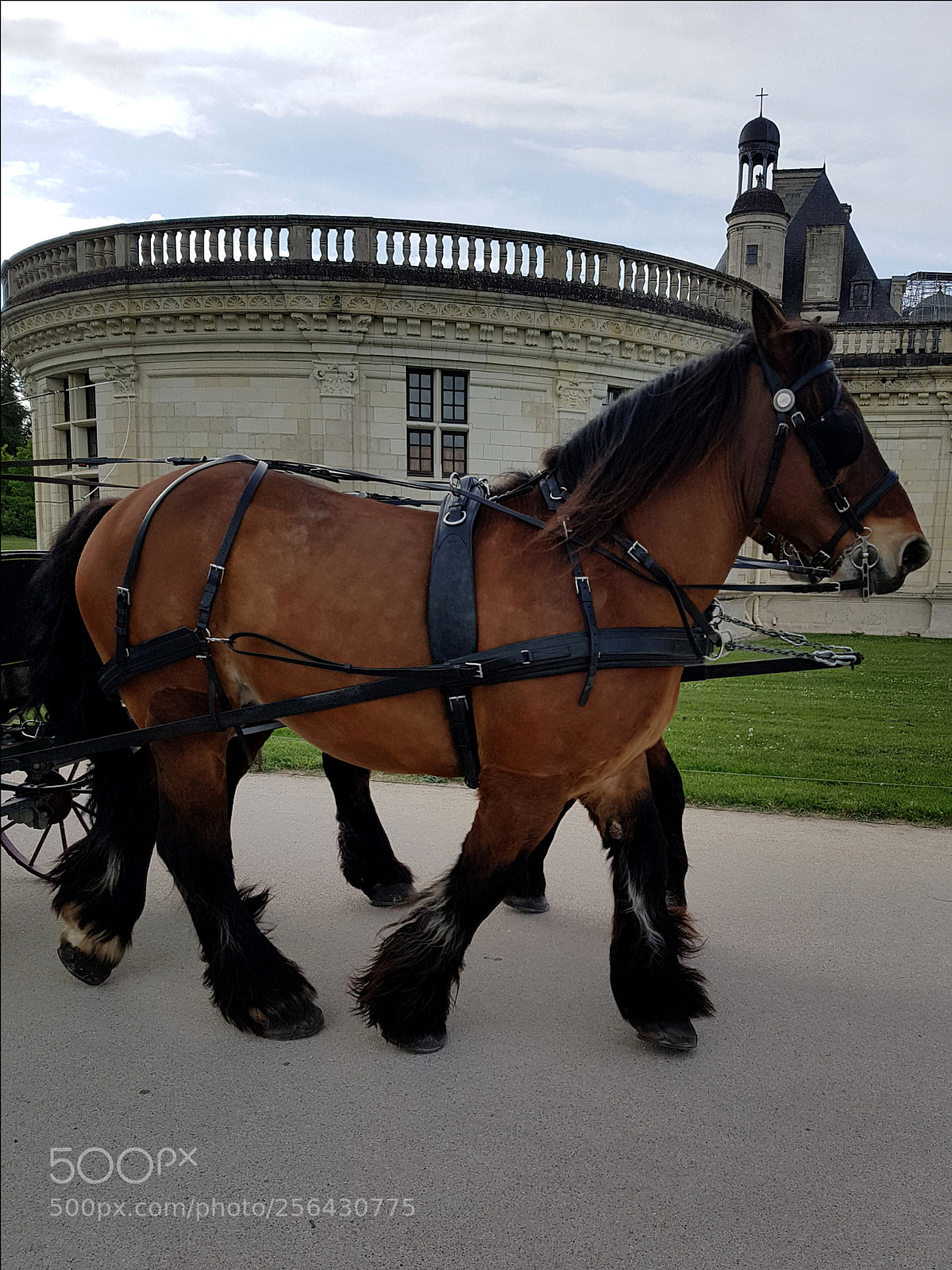 Samsung Galaxy S7 Edge sample photo. Châteaux de chambord photography