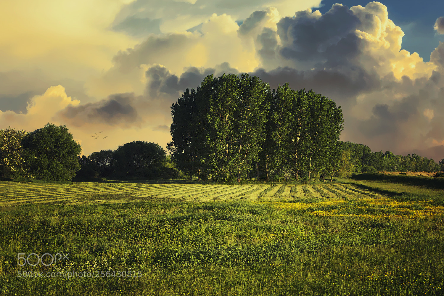 Canon EOS 7D Mark II sample photo. Sunset silent photography