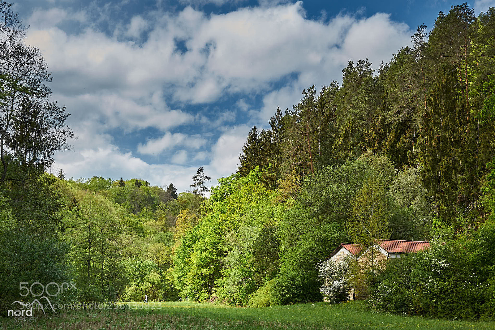 Sony SLT-A77 sample photo. Mensch was bist du photography