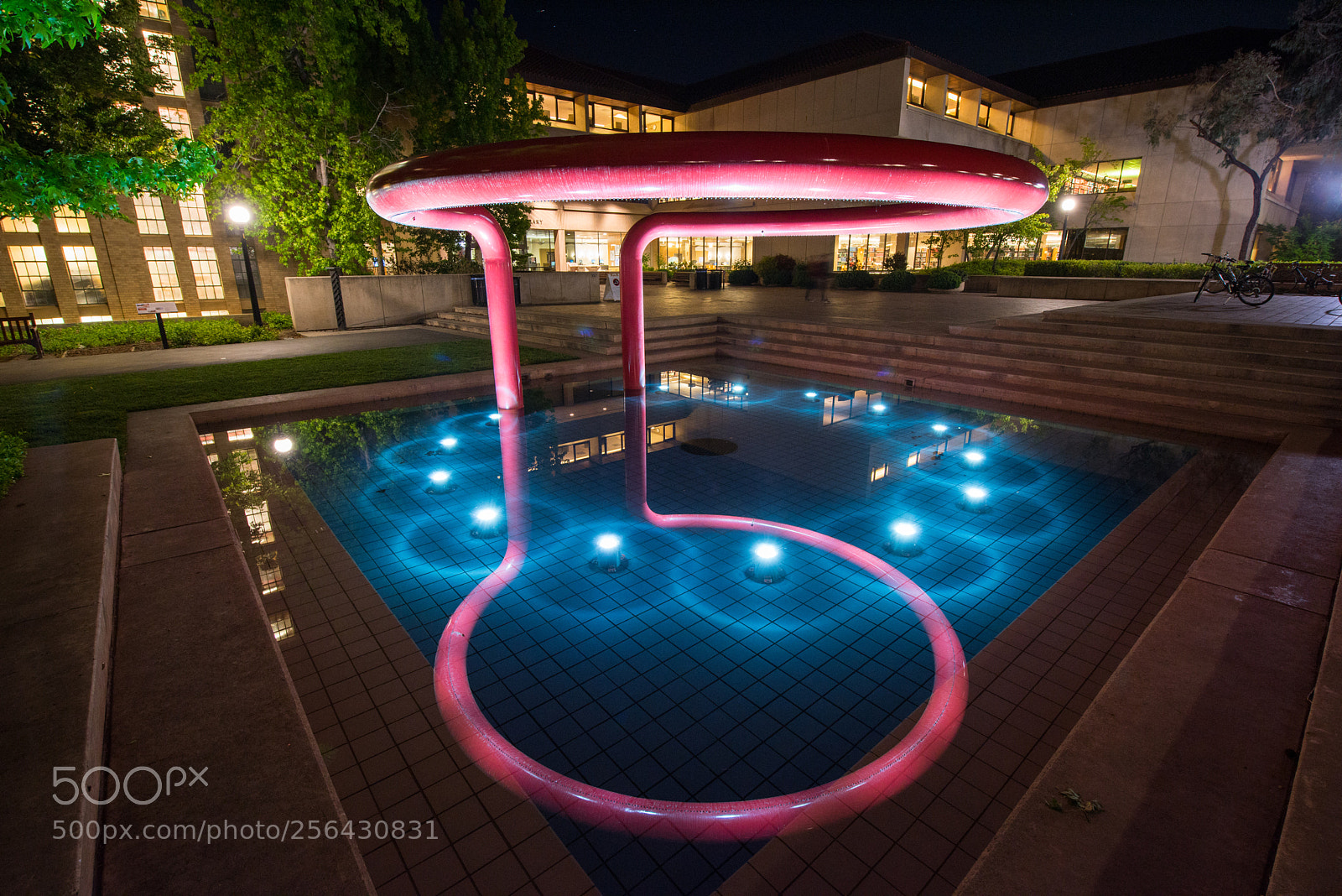 Nikon D810 sample photo. Fairy ring photography
