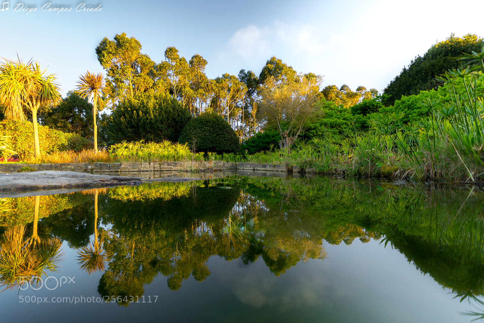 Sony a7 II sample photo. Dsc photography