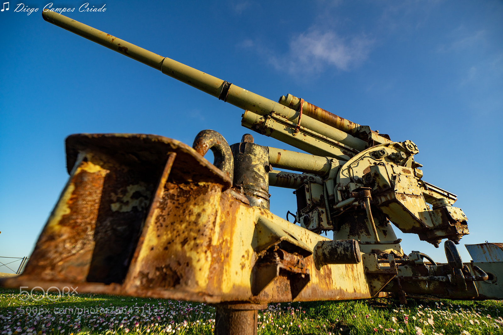 Sony a7 II sample photo. Dsc photography
