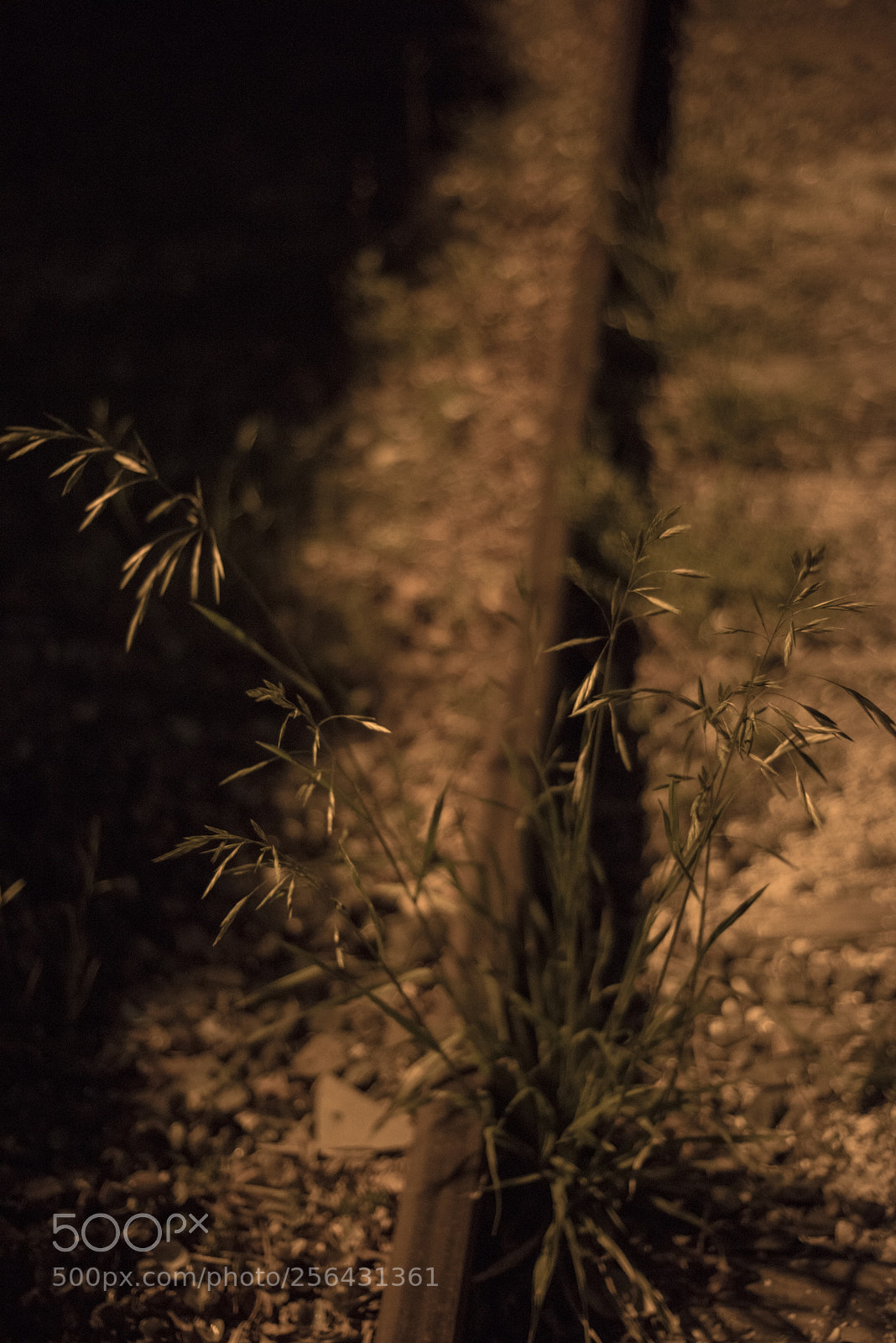 Nikon D810 sample photo. On the railroad  no.5 photography