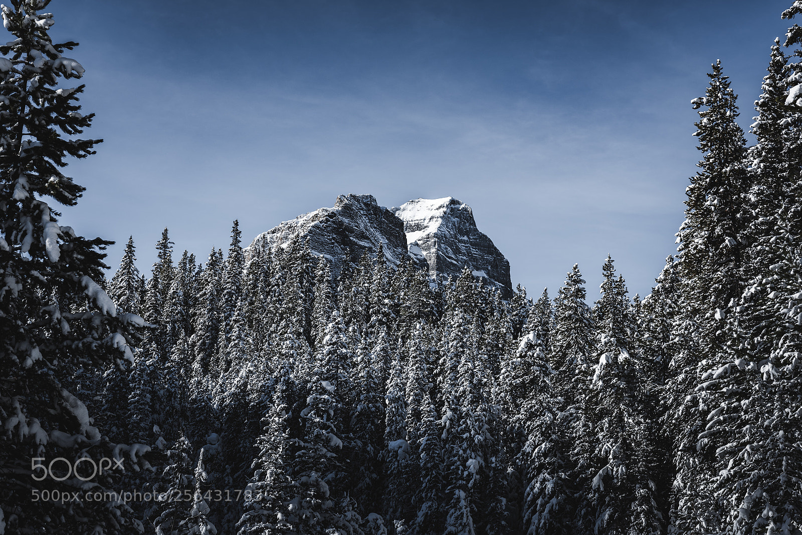 Nikon D750 sample photo. Rockies photography