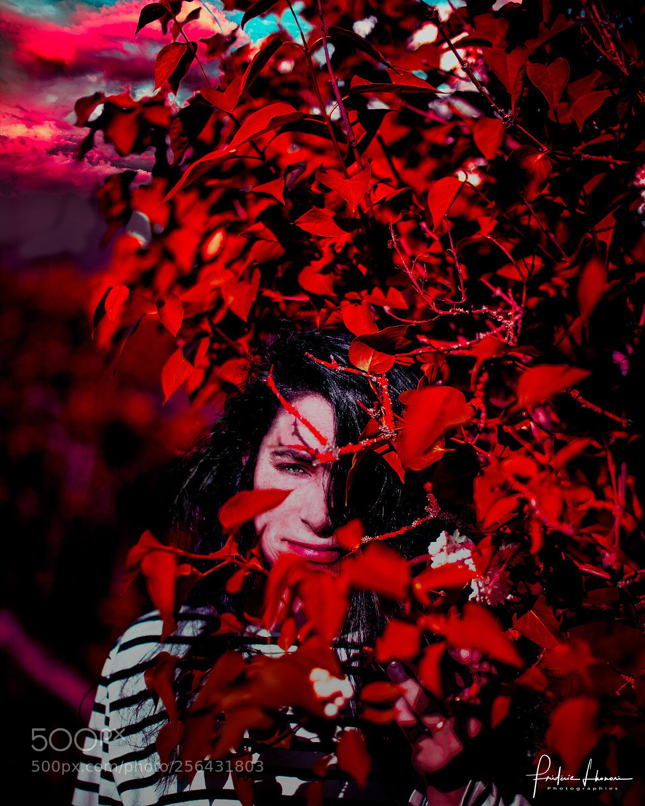Canon EOS-1D X Mark II sample photo. Rouge vif photography