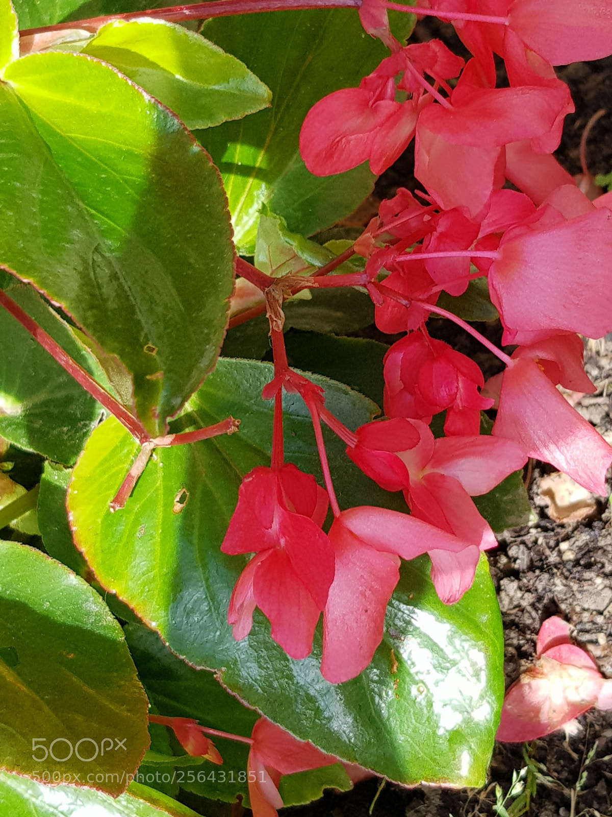 Samsung Galaxy S8 sample photo. Untitled photography