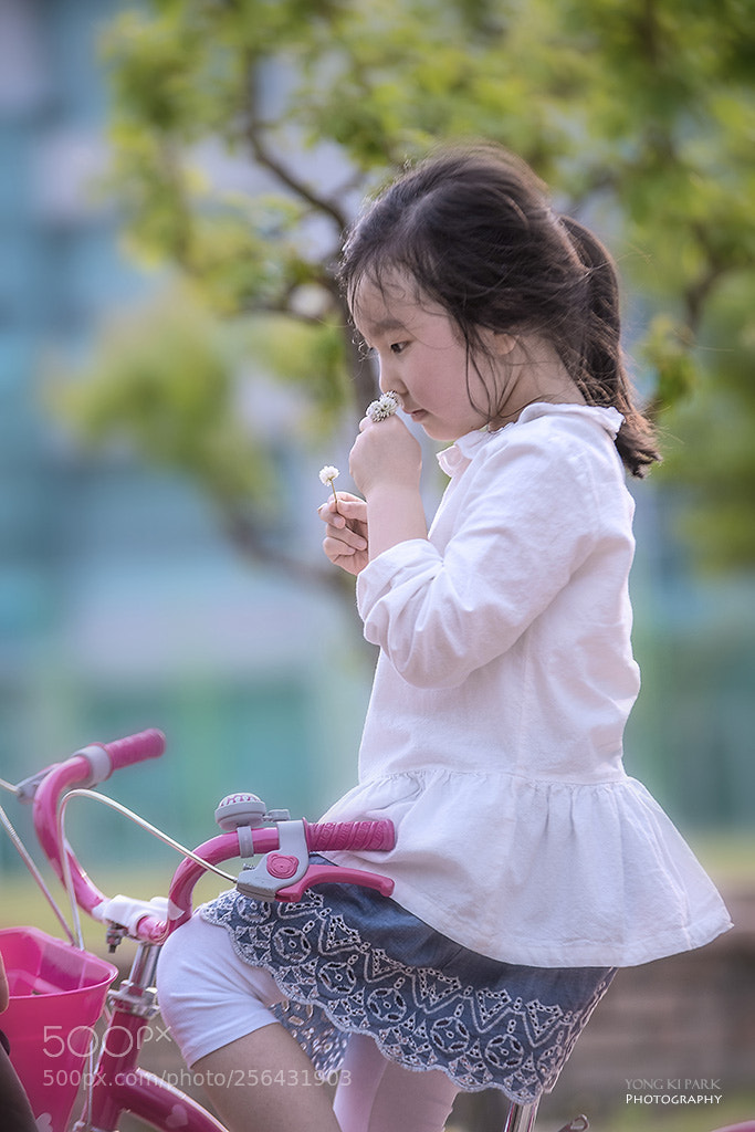 Pentax K-1 sample photo. A fresh and lovely photography