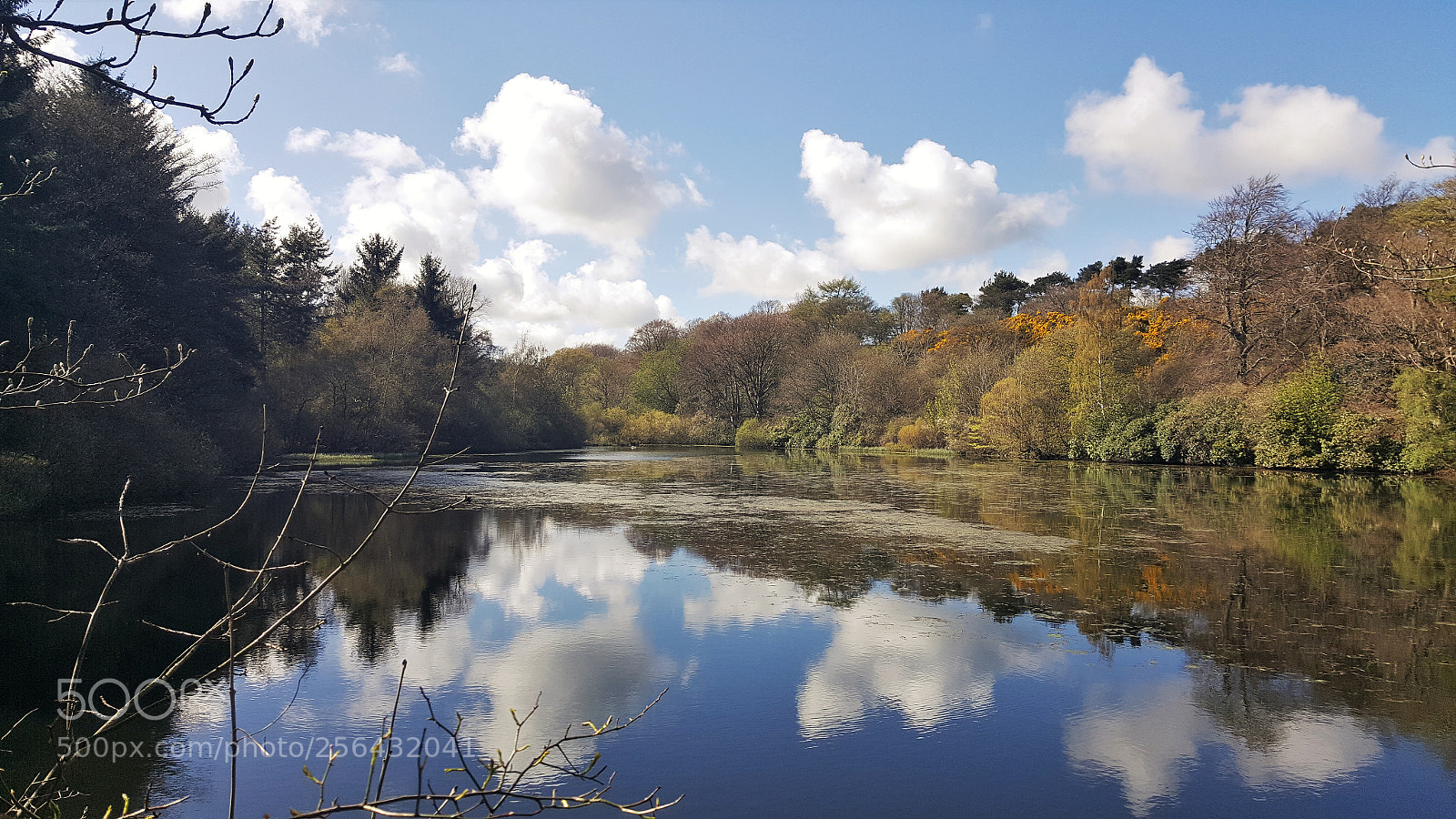 Samsung Galaxy S6 sample photo. Swinhoe lake photography
