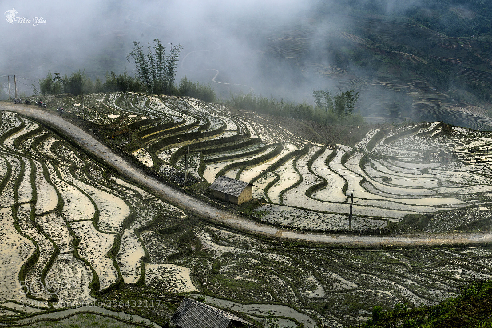 Canon EOS 6D sample photo. Cloudy on terraced fileds photography