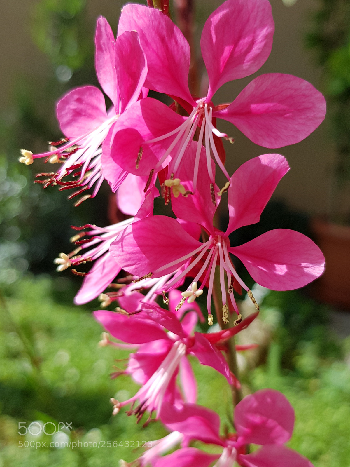 Samsung Galaxy S8 sample photo. Untitled photography