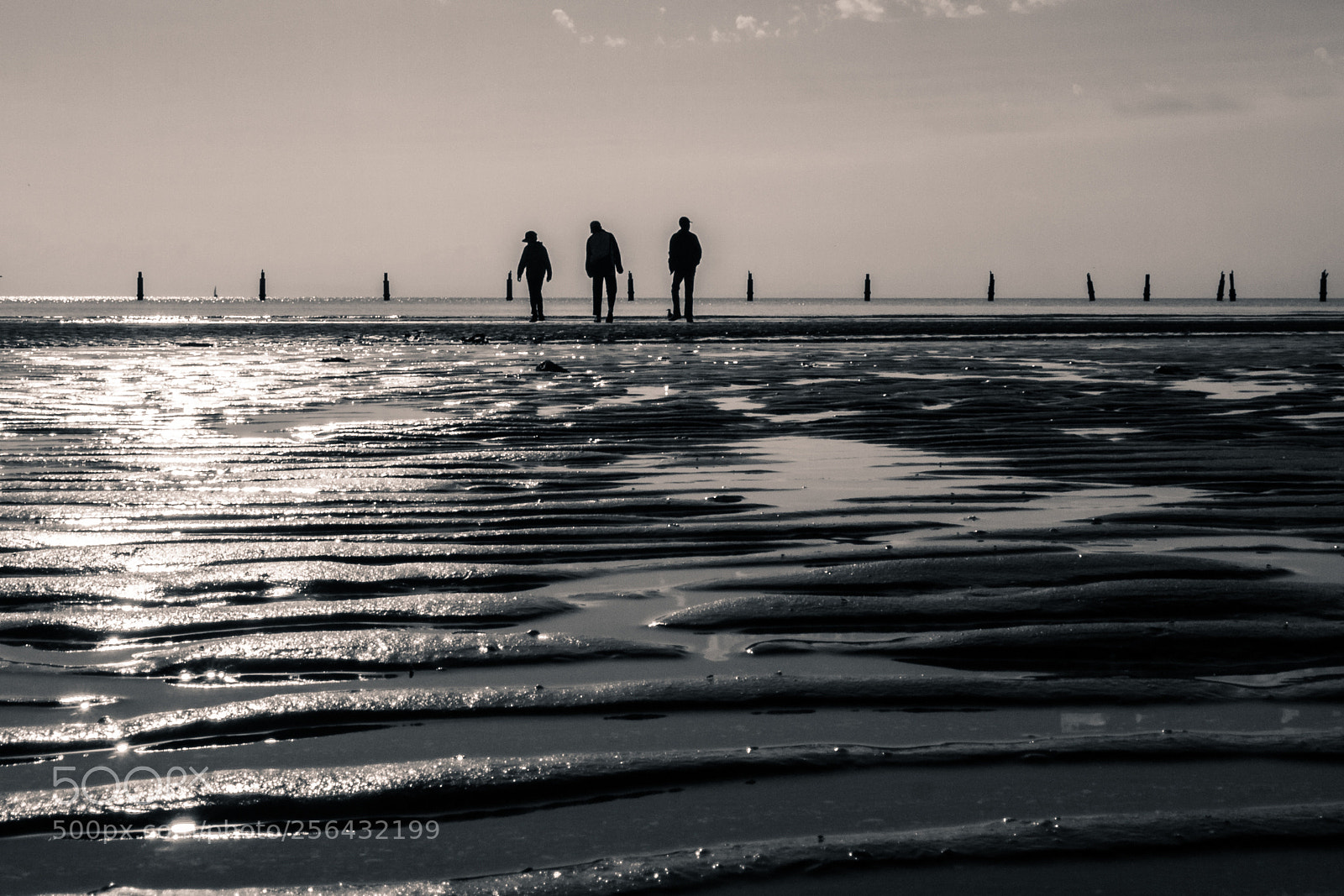 Olympus PEN E-PL3 sample photo. Brighton beach silhouettes photography