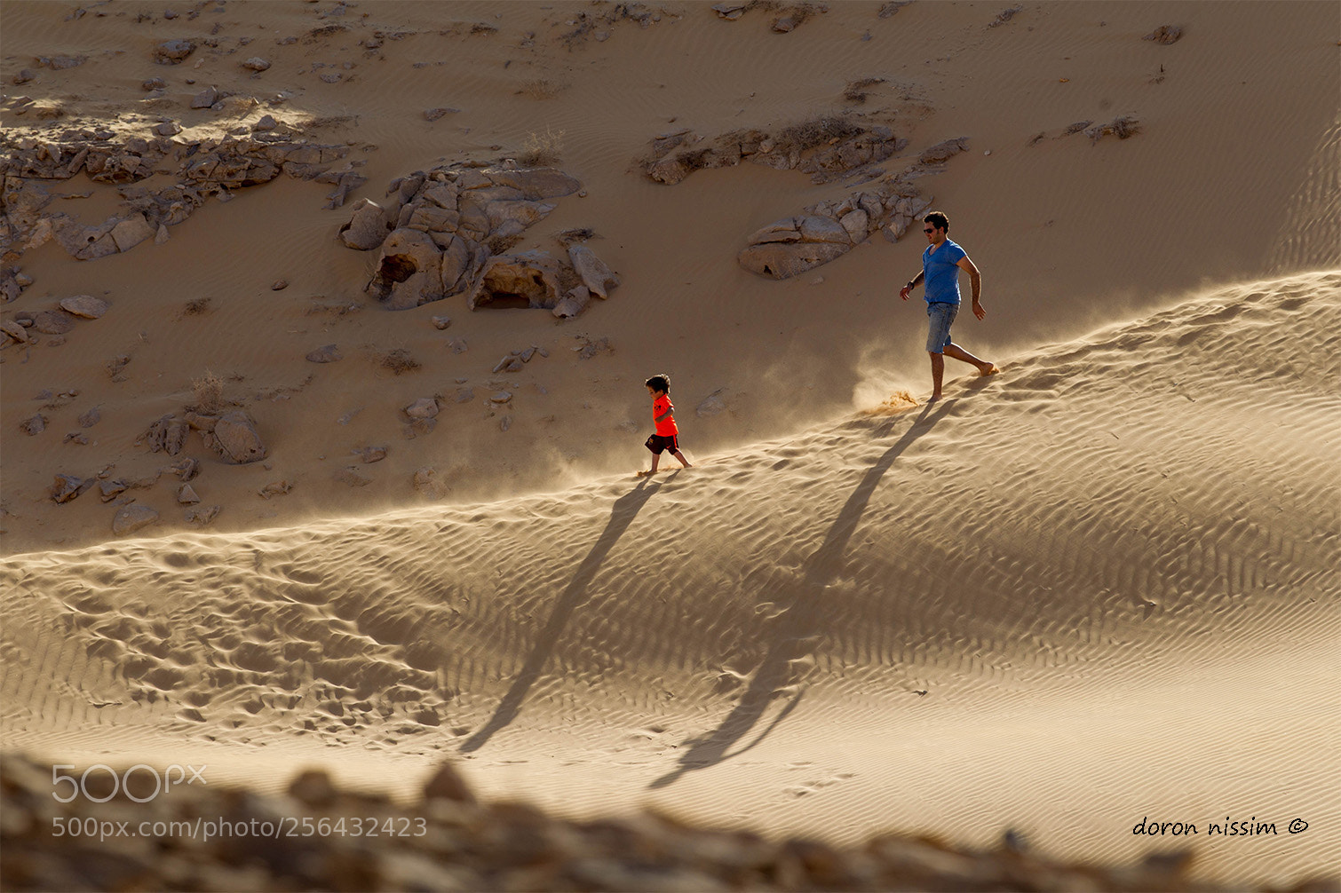 Canon EOS-1D Mark IV sample photo. Dune photography