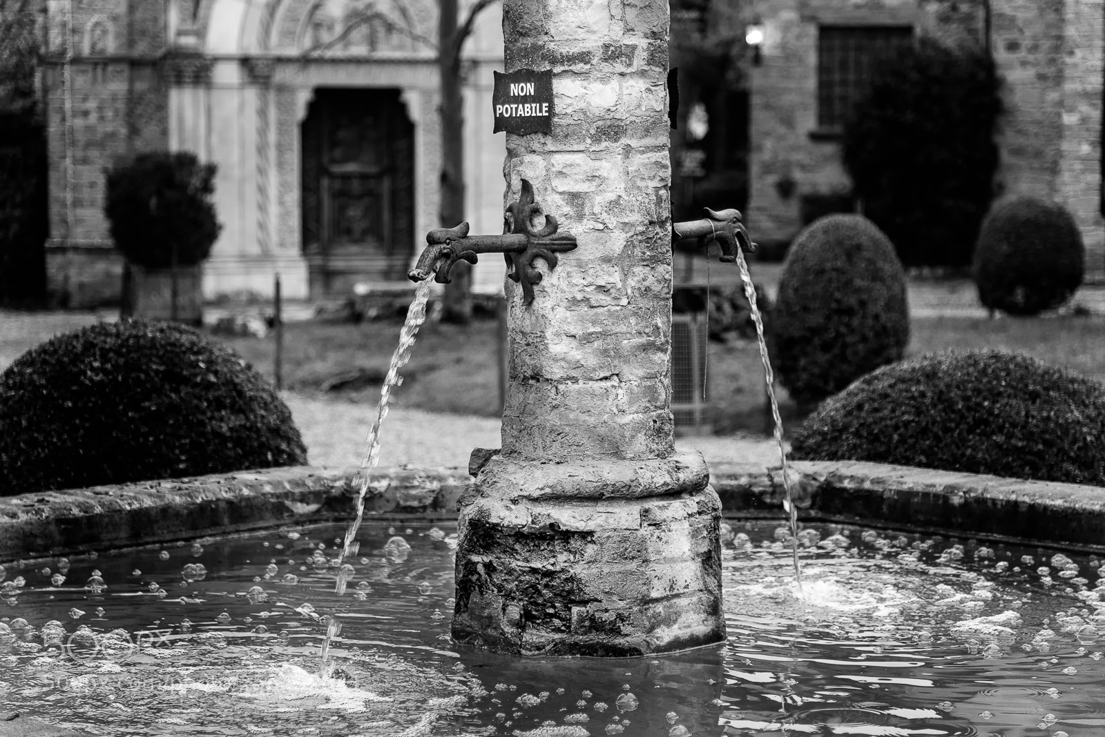 Nikon D810 sample photo. Don't drink water photography