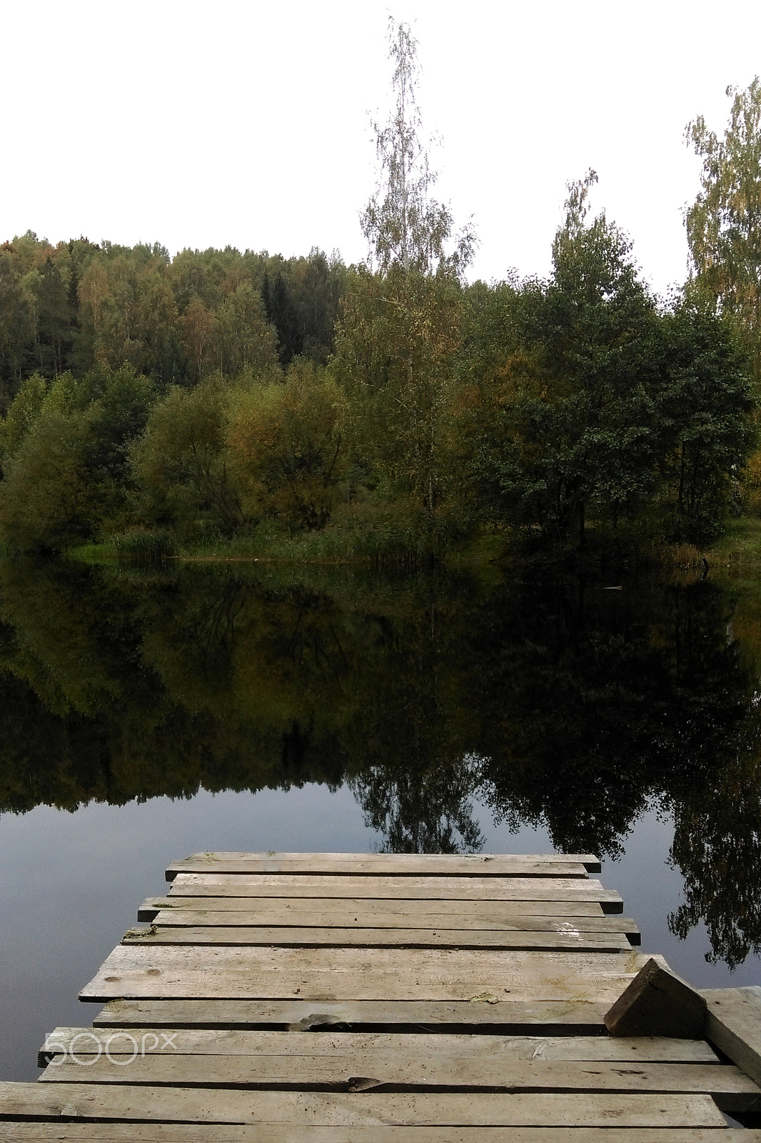 HTC DESIRE 826 DUAL SIM sample photo. View of the lake and the forest from the unblooded wharf. background photography
