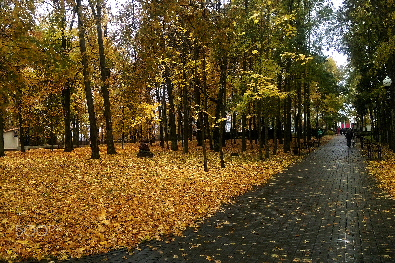 HTC DESIRE 826 DUAL SIM sample photo. The beginning of autumn in the park, many fallen leaves on the ground photography