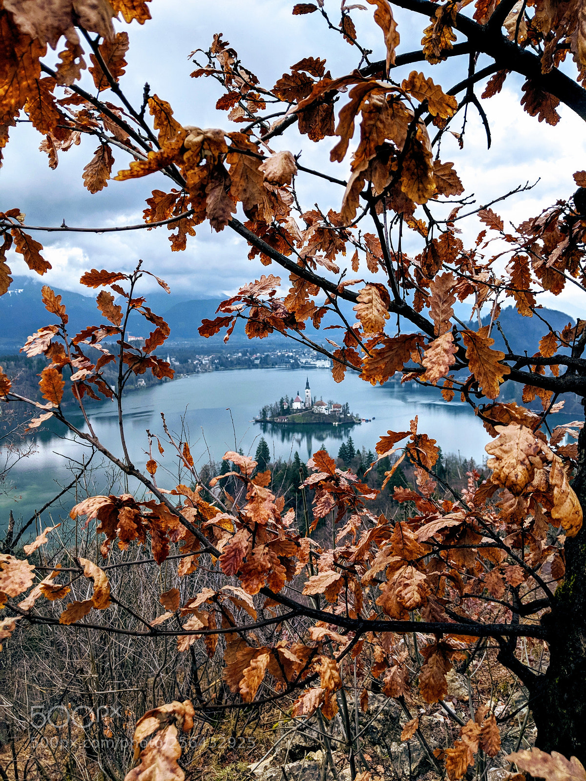 Google Pixel 2 XL sample photo. Lake bled photography