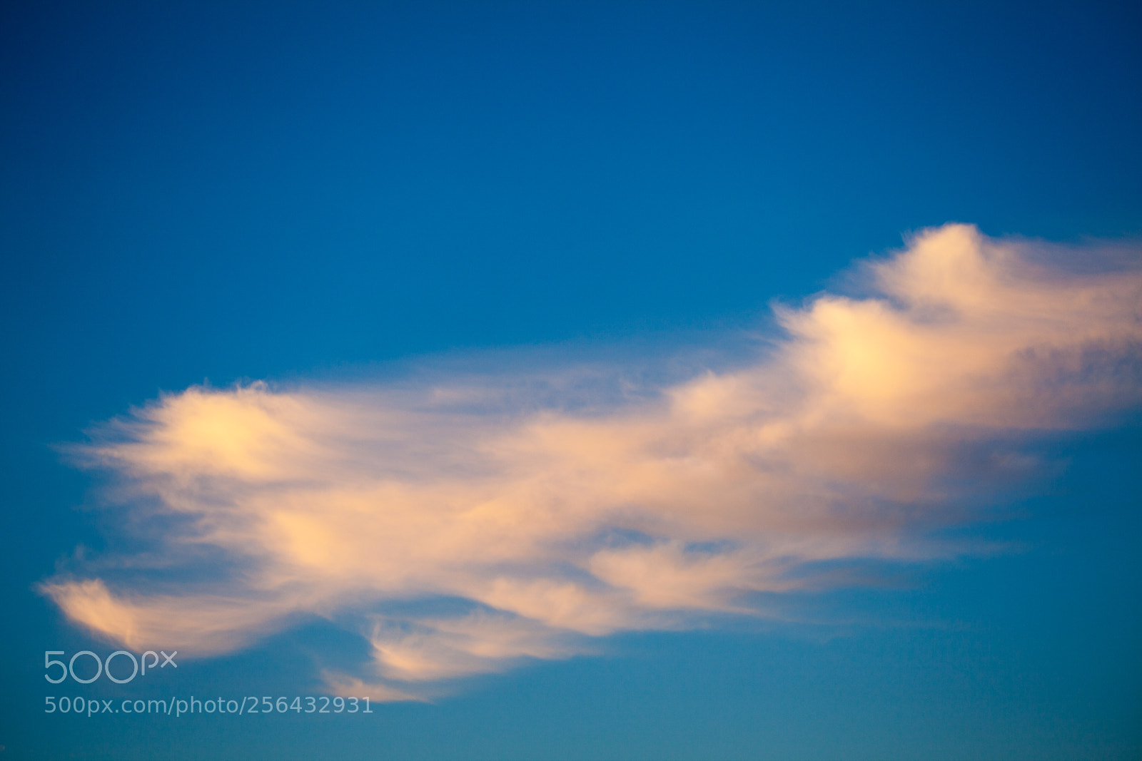 Canon EOS 5D Mark II sample photo. Untitled photography