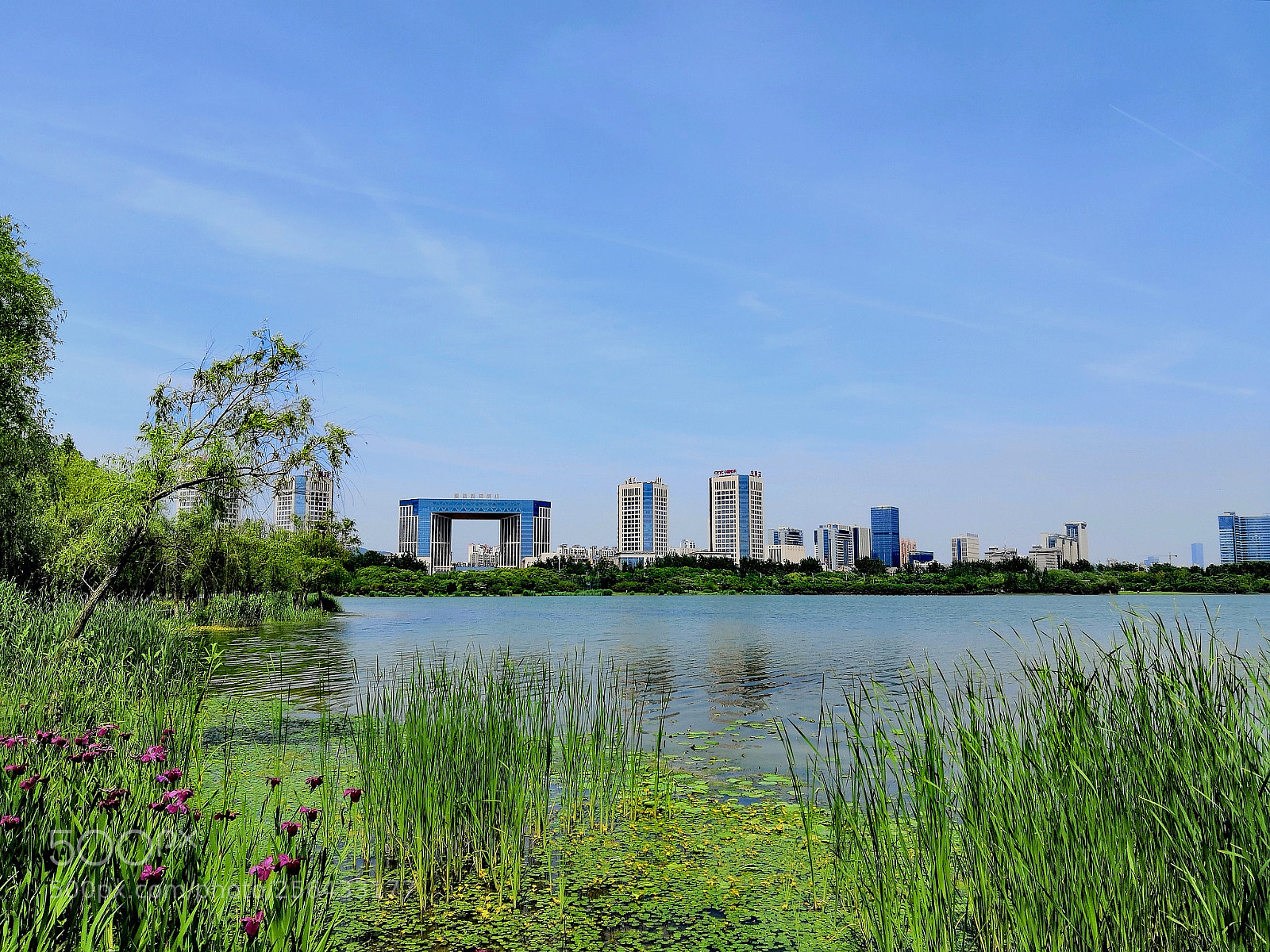 HUAWEI Honor 10 sample photo. Spring of taihu lake。4 photography