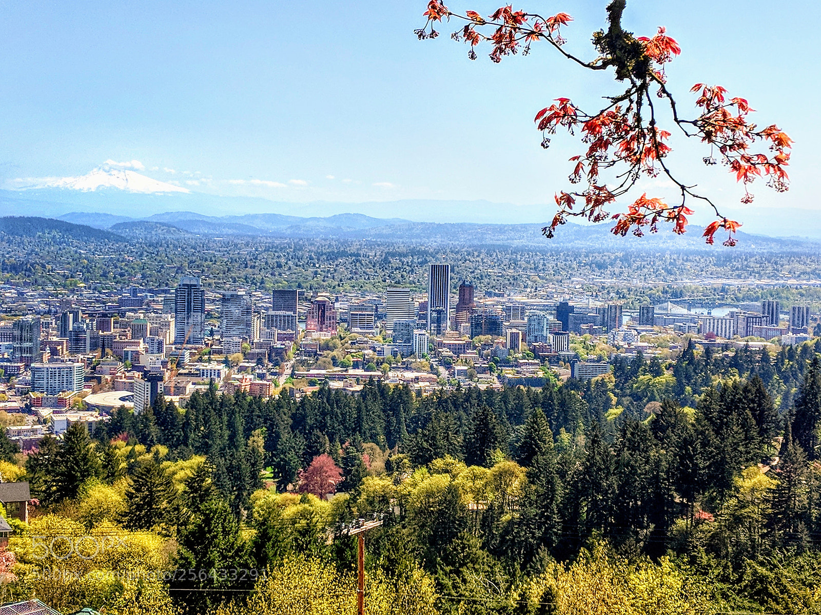 Google Pixel 2 XL sample photo. Pittock mansion overlooking metro photography